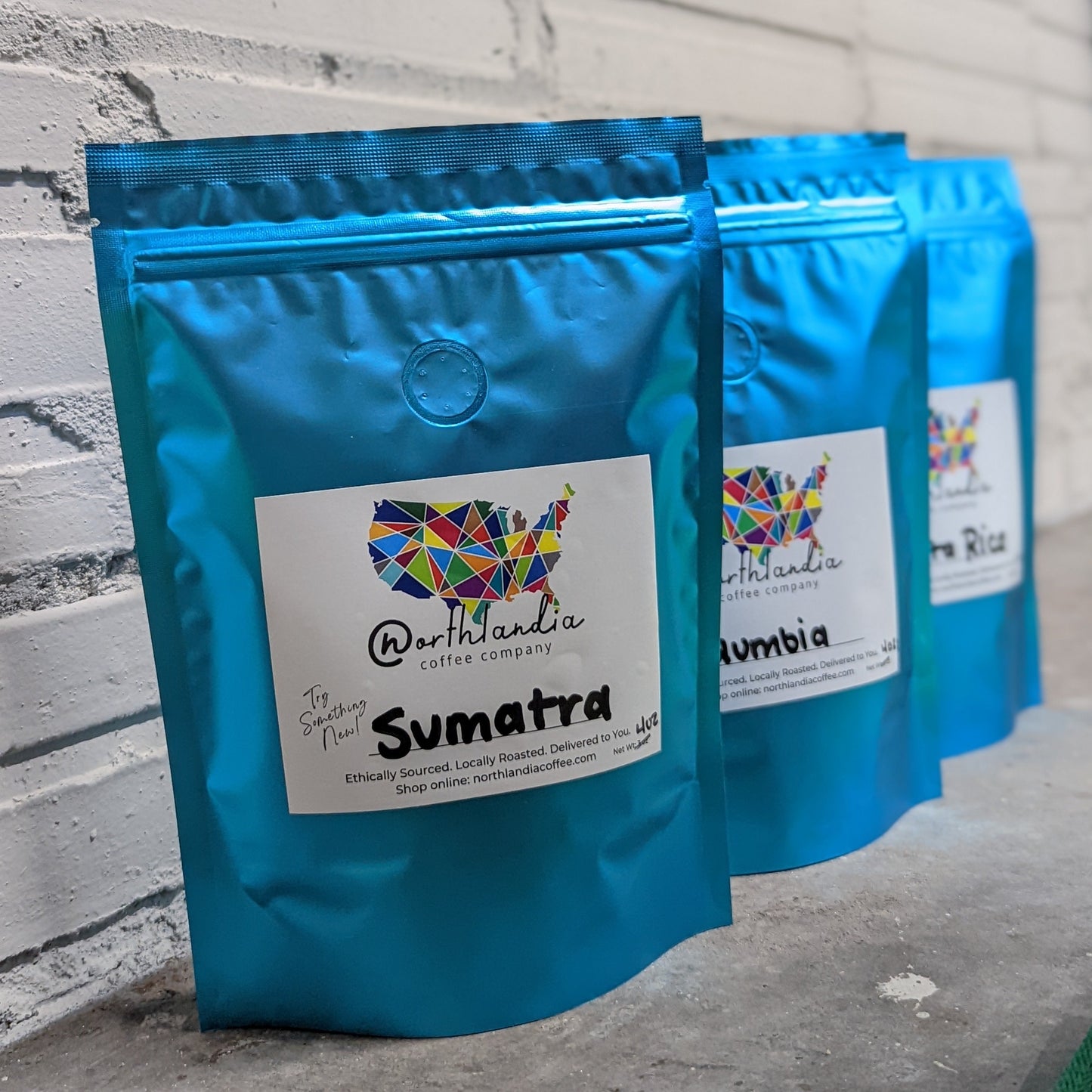 3 Pack Sampler Set - WHOLE BEAN