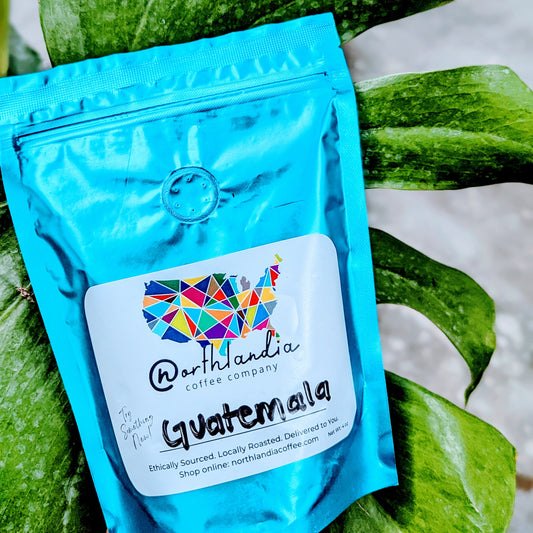 3 Pack Sampler Set - GROUND